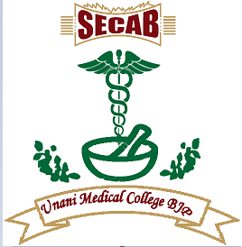 College Logo